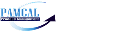 Data Monetization